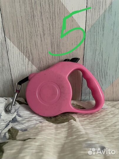 Амуниция для собак