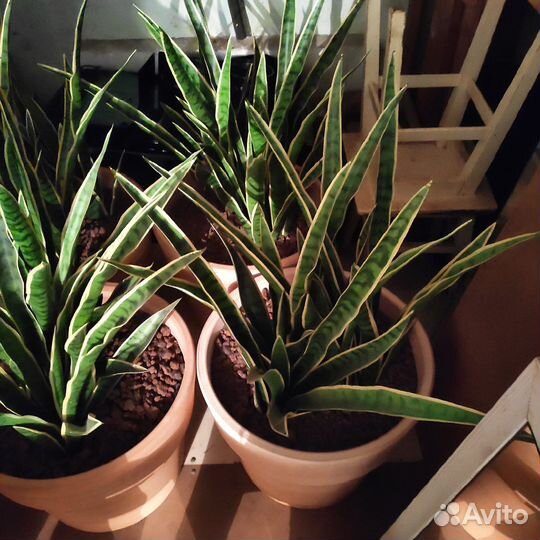 Искусственные цветы