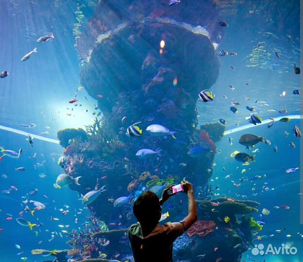 Морской аквариум 80 105 60 с тумбой