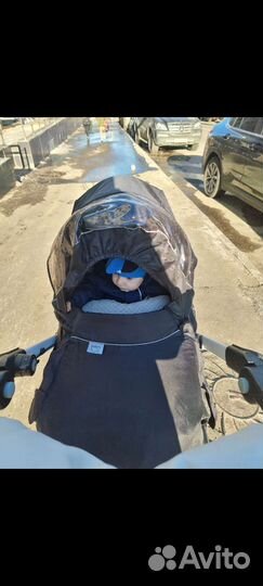 Коляска 2 в 1 тевтония