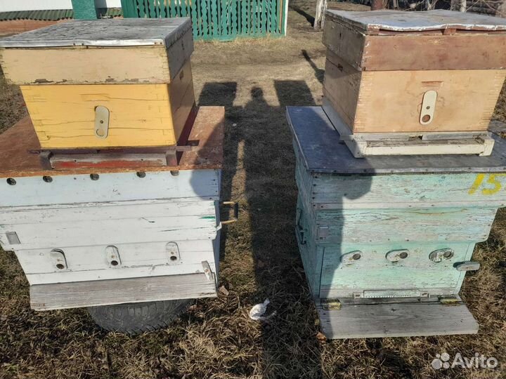 Продам ульи для пчел