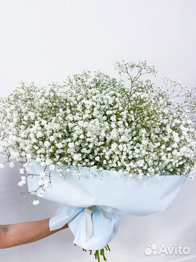 Букет из белой гипсофилы