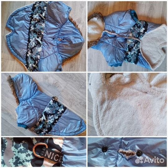 Одежда/обувь/амуниция,игрушки для собак