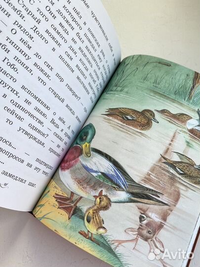 Книга Бемби, ил. Митрофанова, почти новая