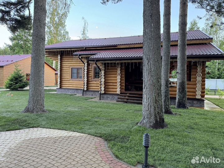 Рулонный газон от производителя