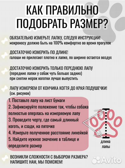 Носки для собак на липучках XXL