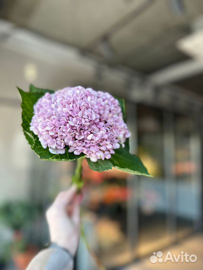 Цветы букеты с доставкой