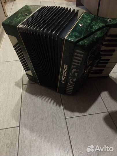 Аккордеон юность3