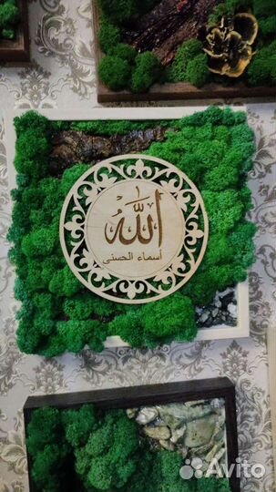 Картины из стабилизированного мха 