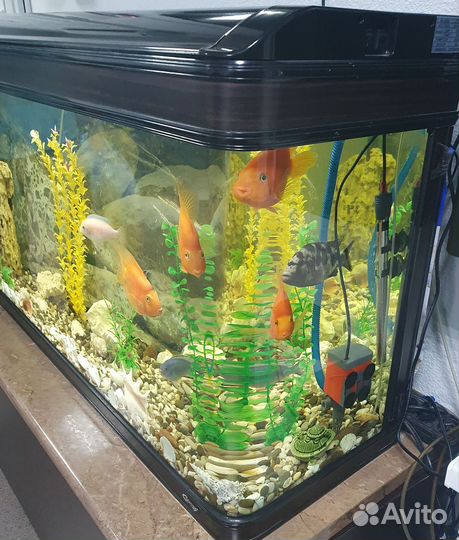 Аквариум с тумбой 300 литров