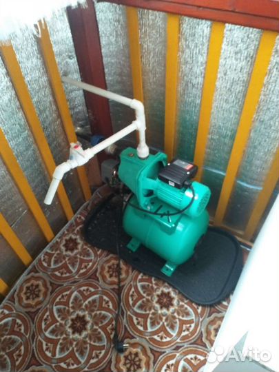 Абиссинка за один день