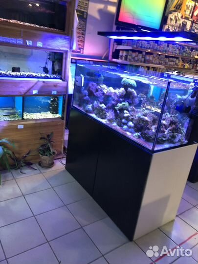 Чистка аквариума