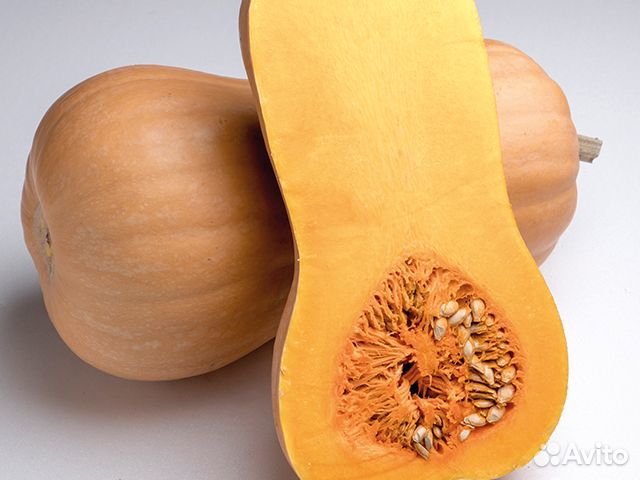 Семена Тыквы Матильда 500 с (по цене договоримся)