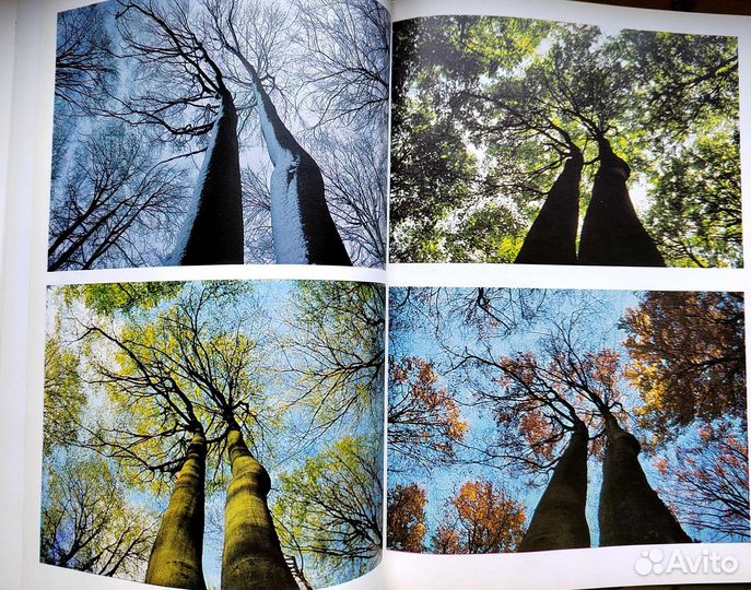 Фотографирование живой природы