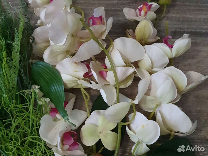 Флористика