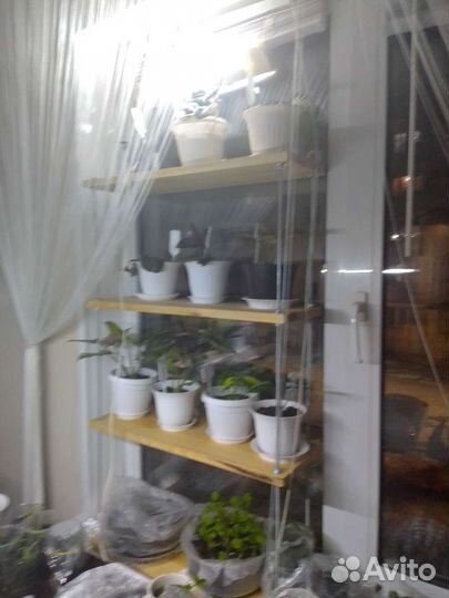 Этажерка для цветов