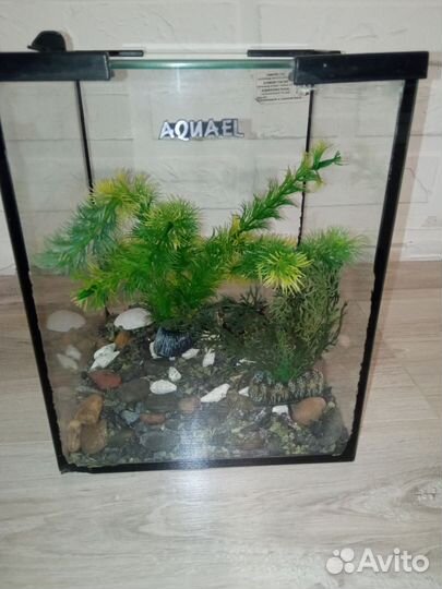 Аквариум aquael 10л