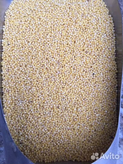 Геркулес, Пшеничка, Горох