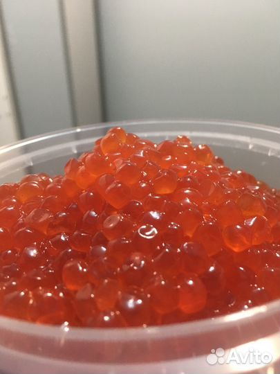 Красная икра форели Карелия 2024год