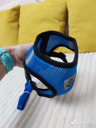 Шлейка для маленькой собаки