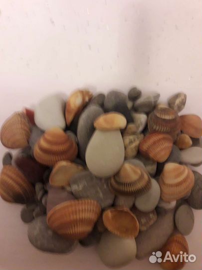 Грунт для аквариума