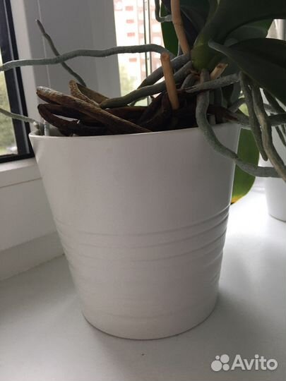 Цветочный горшок IKEA