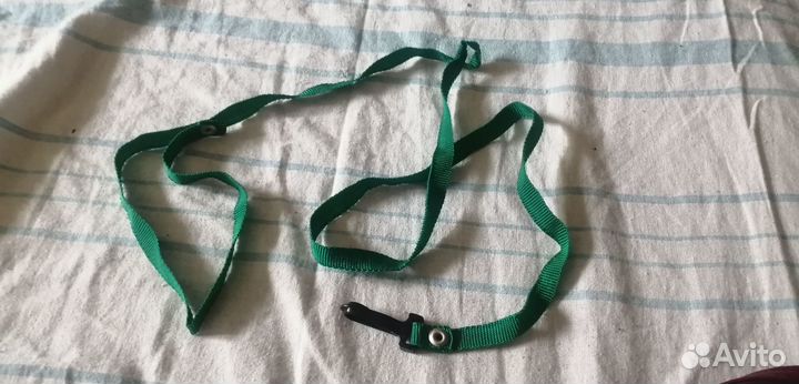 Лоток, ошейники