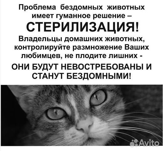 Кастрация, стерилизация