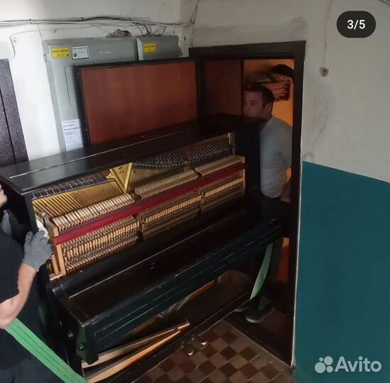 Грузчики, переезды, грузоперевозки