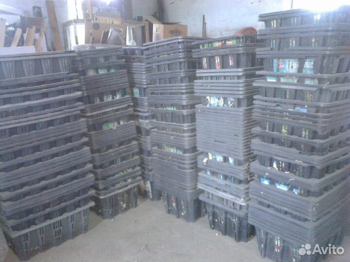 Ящики для рассады