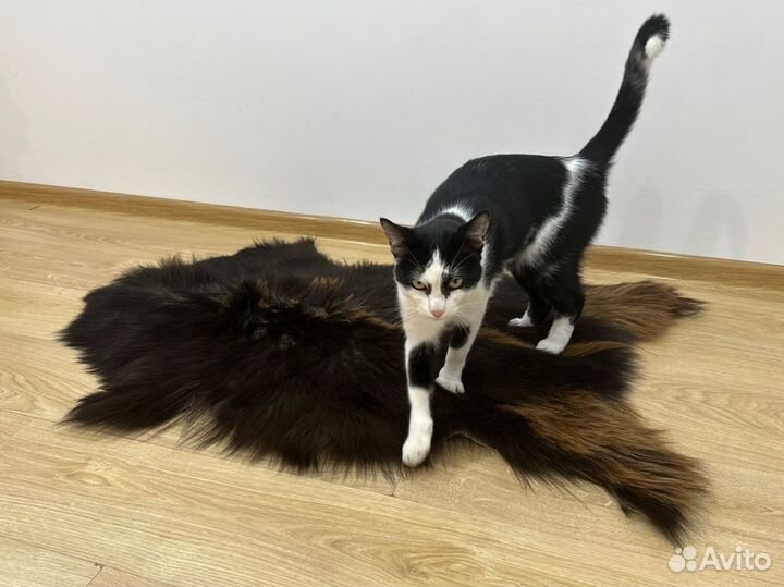 Козья шкура натуральная