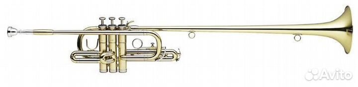 Труба триумфальная Brahner HTR-300 Bb