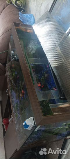 Аквариум с тумбой бу
