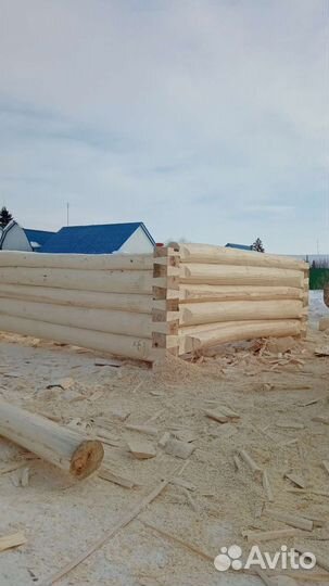 Сруб для бани липа 3*3