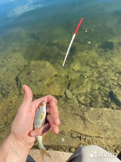 Перо Поплавок из пера гусиного