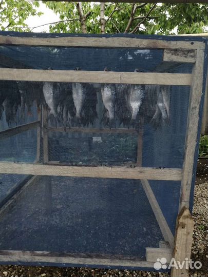 Сушилка для рыбы