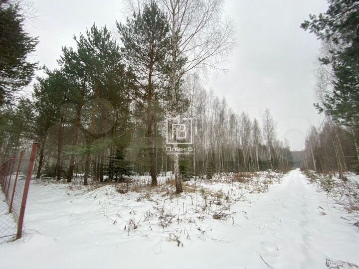 Участок 80 сот. (СНТ, ДНП)