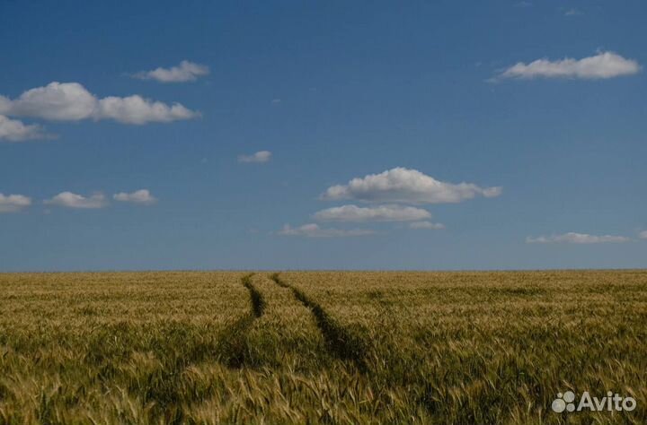 Фотосъёмка любительская