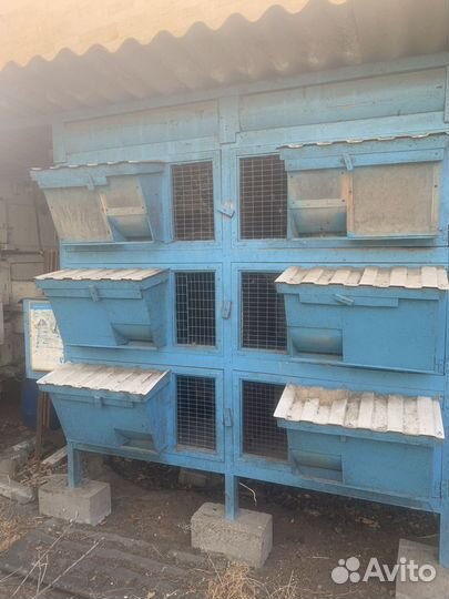 Клетка для кролика