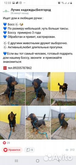 Малыш в приюте