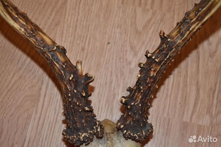 Ключница, рога косули, бамбук, ваза