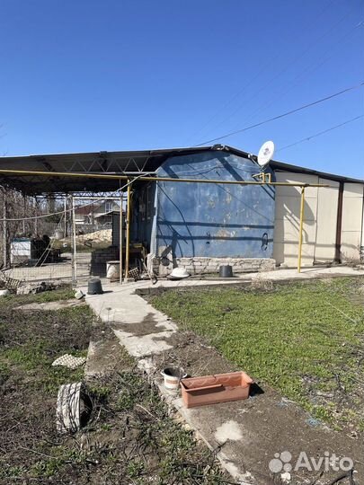 Тепличное хозяйство