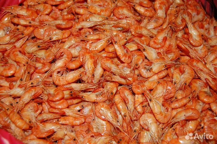 Креветки черноморские