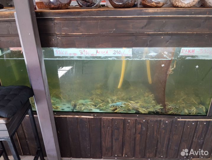 Аквариум