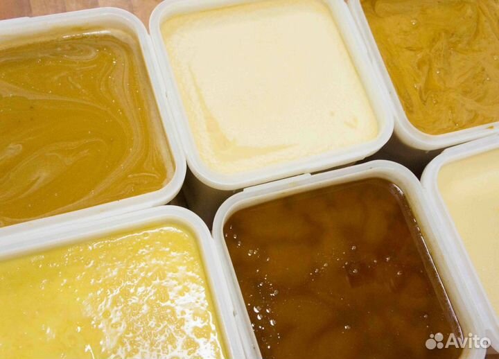 2024 Мёд натуральный из Алтая опт