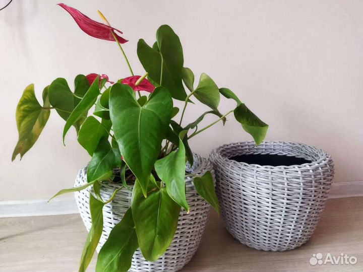 Кашпо для цветов напольное