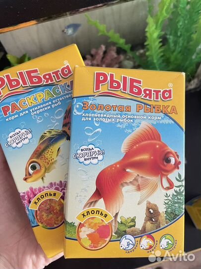 Рыбка тернеция