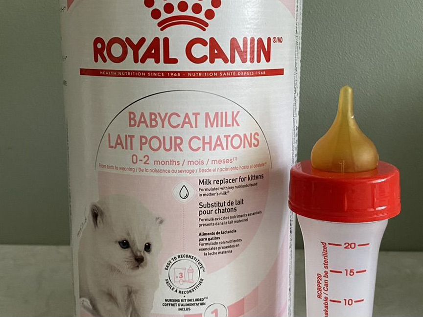 Royal Canin (Роял Канин) смесь для котят