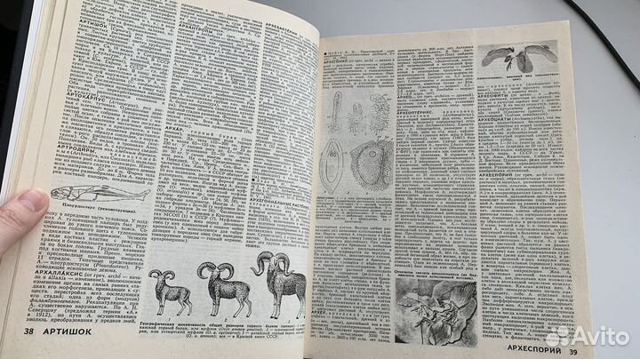 Биология большой энциклопедический словарь