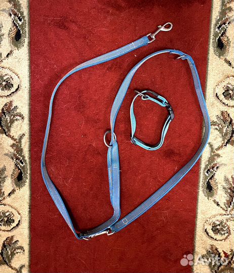 Амуниция для собак